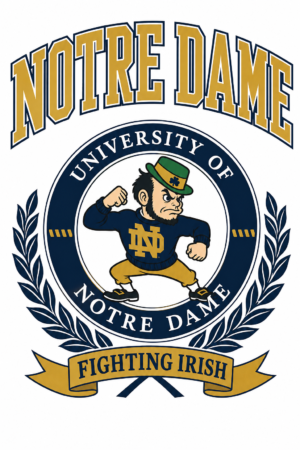 Notre Dame Fighting Irish Navy and Gold Wall Art
