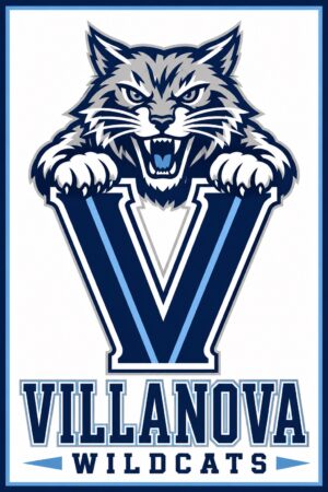 Villanova Wildcats Blue and White Wildcat Wall Art