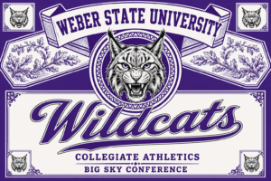 Weber State Wildcats Purple and White Collegiate Wall Art