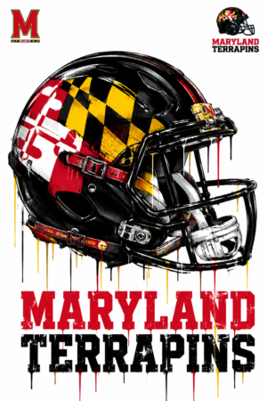 Maryland Terrapins Helmet Flag Graphic Wall Art
