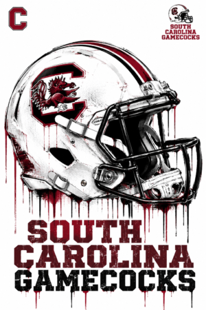 South Carolina Gamecocks Football Helmet Graphic Wall Art