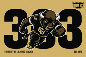Colorado Boulder Buffalo Black and Gold Wall Art