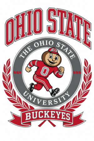 Ohio State Buckeyes Mascot Themed Wall Art Design