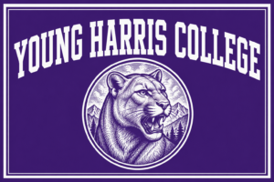 Young Harris College Cougar Design Purple Wall Art