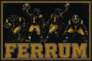 FERRUM Panther Football Vintage-Style Wall Art