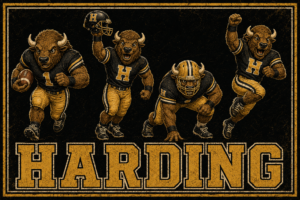 Harding Bison Football Team Vintage-Style Wall Art