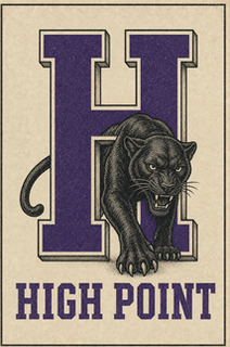 High Point Panthers Purple H Graphic Wall Art
