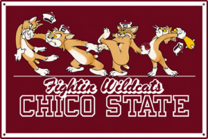 Fighting Wildcats Chico State Burgundy Wall Sign