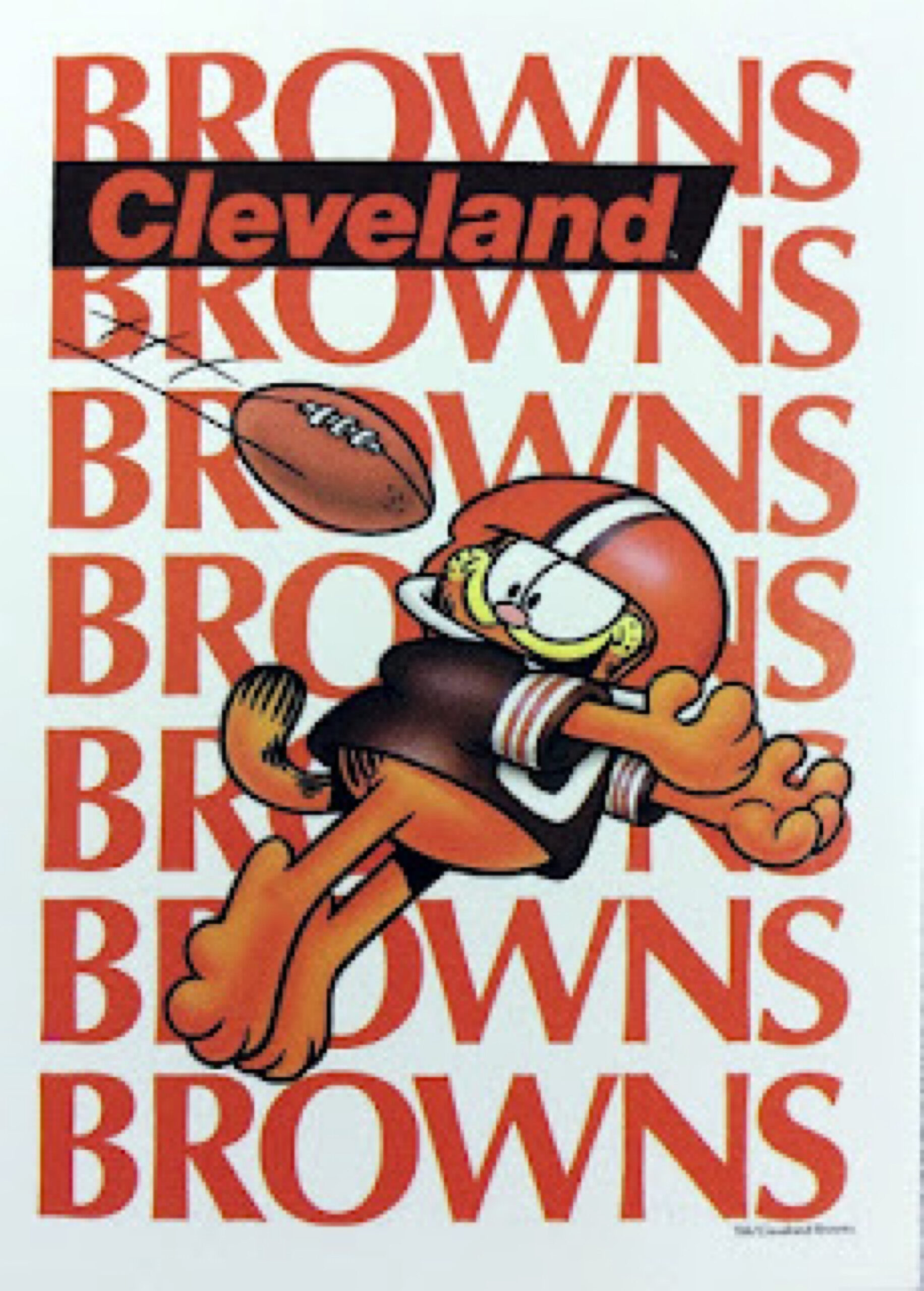 Bugs Bunny Cleveland Football-Themed Printed Wall Art