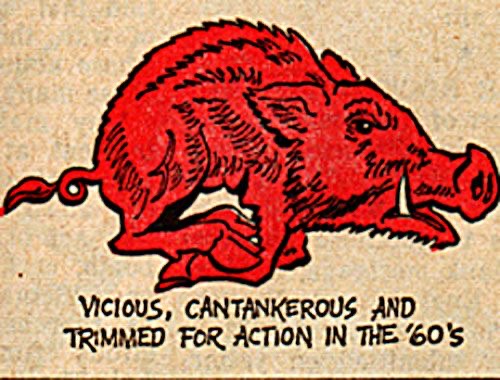 Red Wild Boar “Vicious, Cantankerous” Graphic