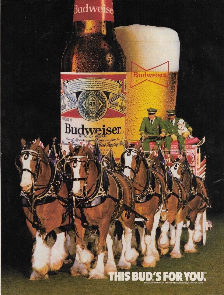 Budweiser Clydesdale Horses Beer Advertisement Wall Art