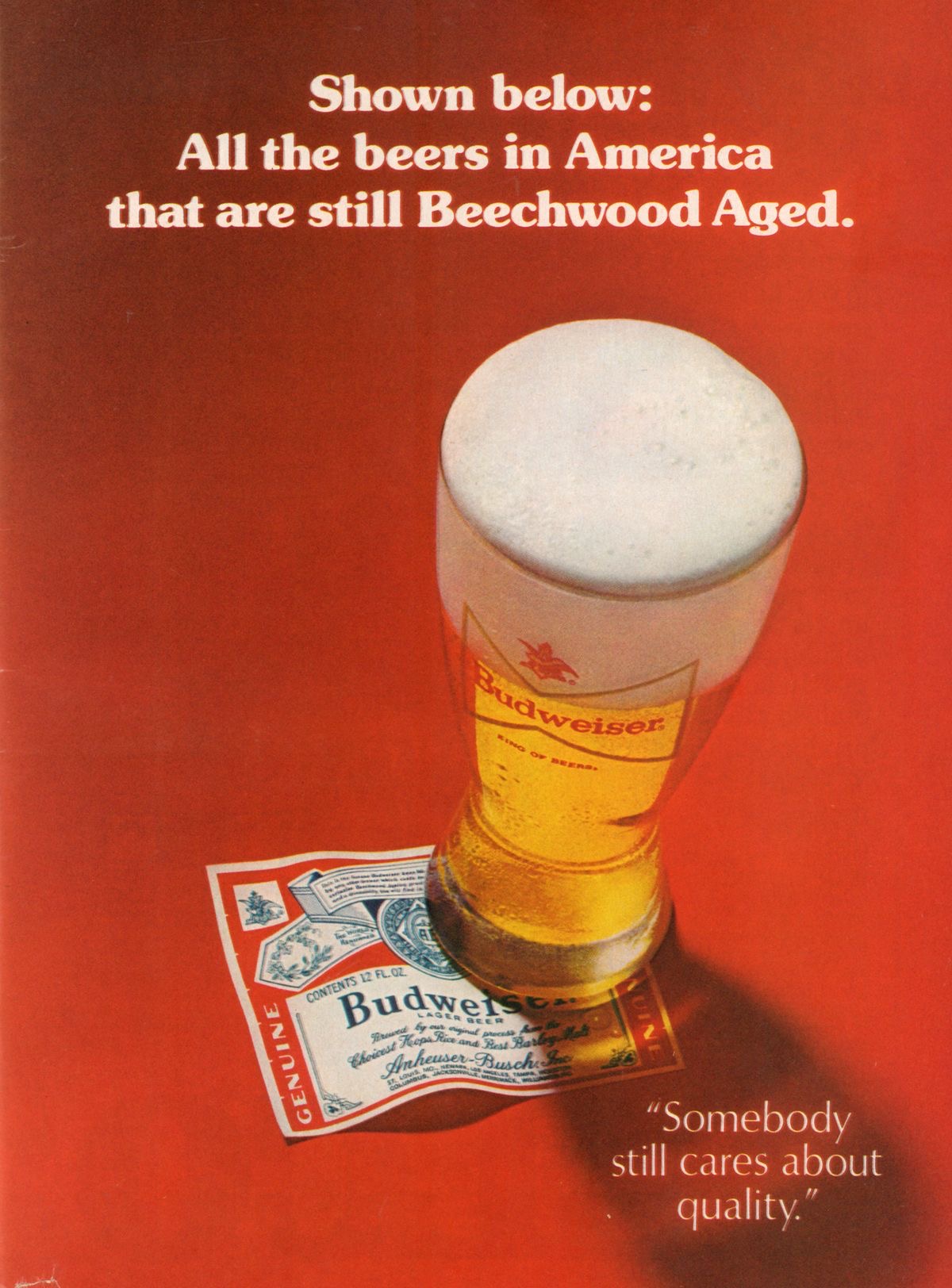 Budweiser Beechwood Aged Beer Advertisement Print