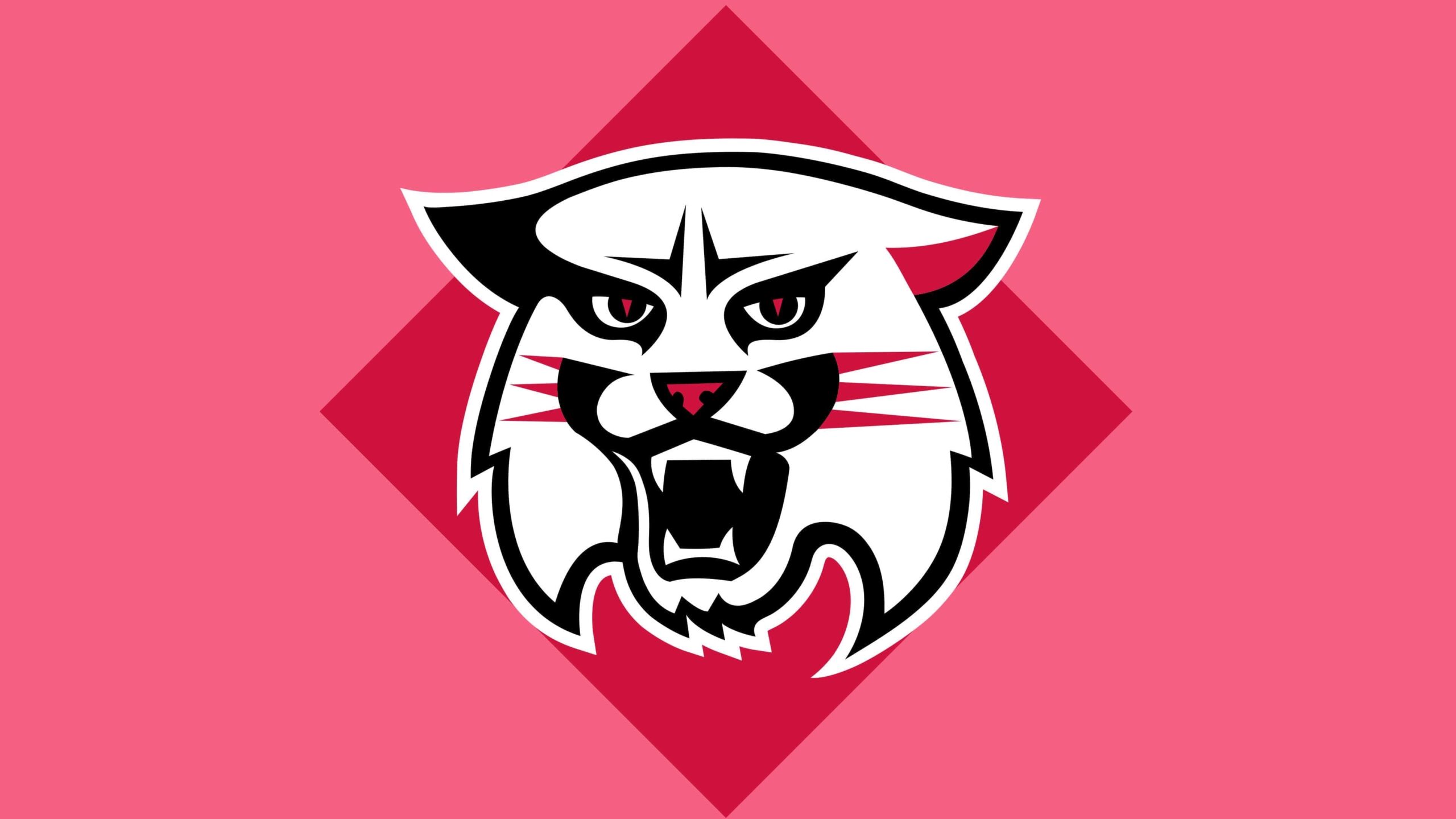 Black and White Wildcat Head Graphic on Pink Background