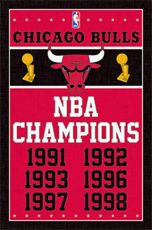 Chicago Bulls NBA Champions 1991–1998 Wall Art