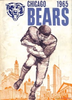 Chicago Bears 1965 Football Player Skyline Wall Art