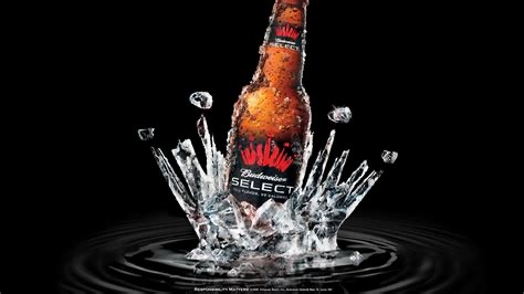 Beer Bottle Splash Wall Art Design