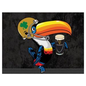 Colorful Toucan Helmet and Stout Pint Wall Art