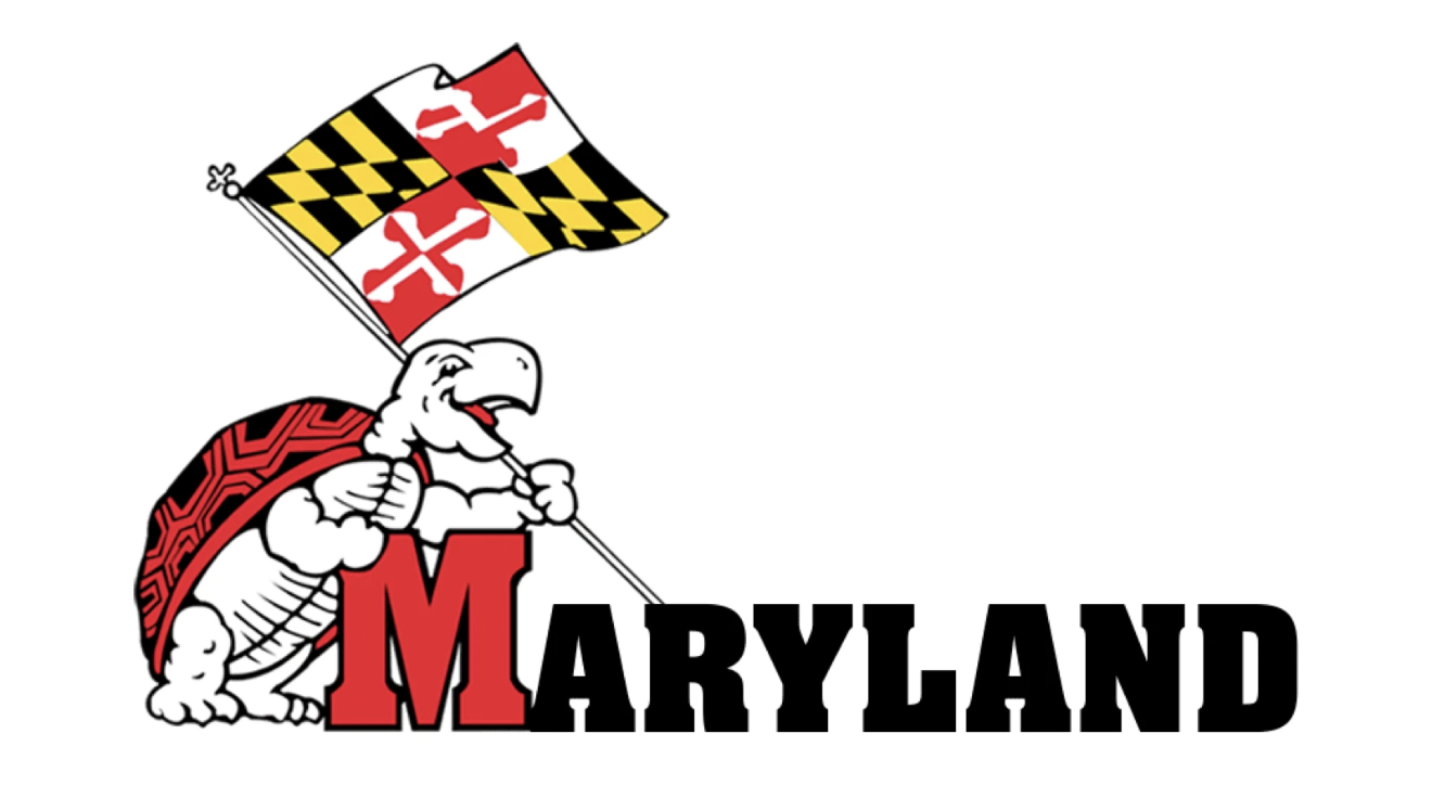Maryland Terrapin Turtle Flag Graphic Wall Art