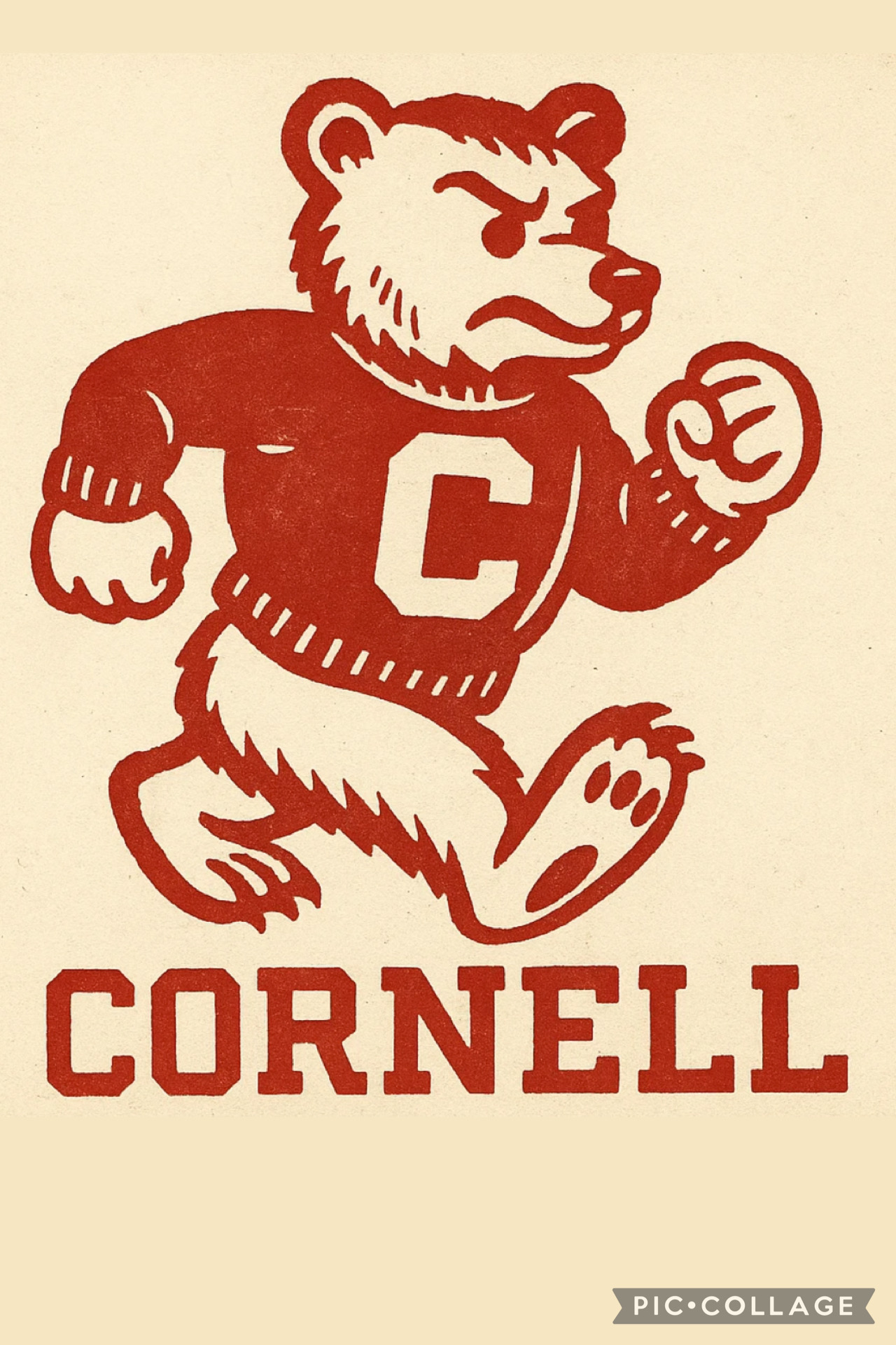 Cornell Bear Graphic Print with CORNELL Lettering