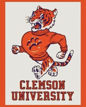 Clemson University Tiger Orange Sweater Wall Art