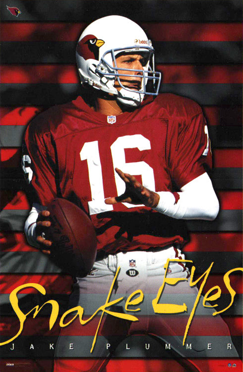 Jake Plummer “Snake Eyes” Football Wall Art
