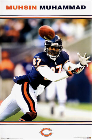 Muhsin Muhammad Football Action Photo Print