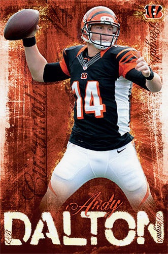Andy Dalton #14 Football Player Distressed Wall Art