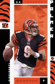 Cincinnati Bengals #9 Football Player Collage Wall Art