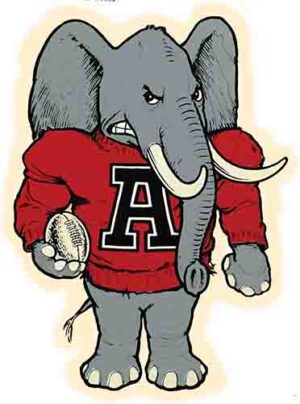 Cartoon Elephant in Red A Sweater Football Graphic