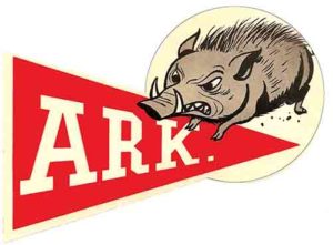 Red ARK Pennant with Wild Boar Illustration