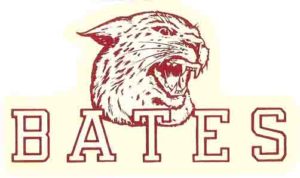 BATES Wildcat Graphic Wall Art