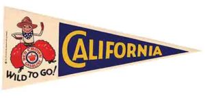 California Wild To Go Cowboy Pennant Wall Decor