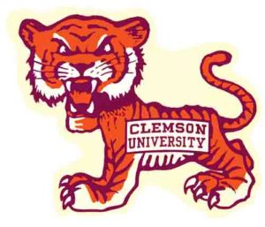 Clemson University Orange Tiger Graphic